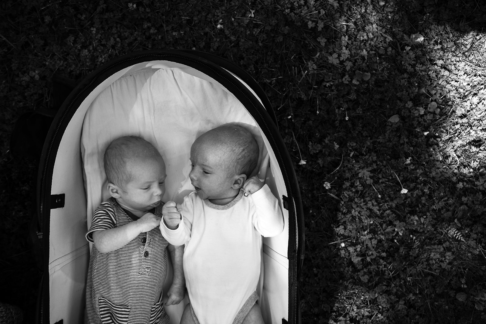 twin-baby-boys-sleep-peacefully-in-a-basinet-outdoors-on-the-grass-in-the-summer