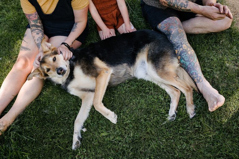 family snuggle old dog laying on the lawn in the backyard of their revelstoke home