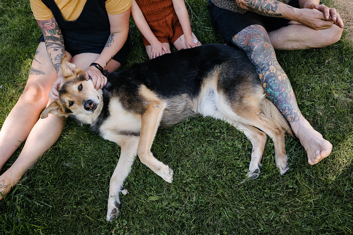 A Family, Their Dog, and a Summer Evening in Revelstoke